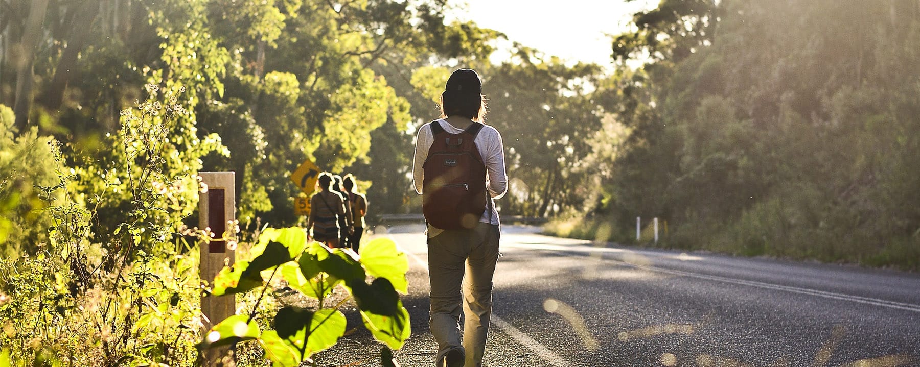 Nature walk